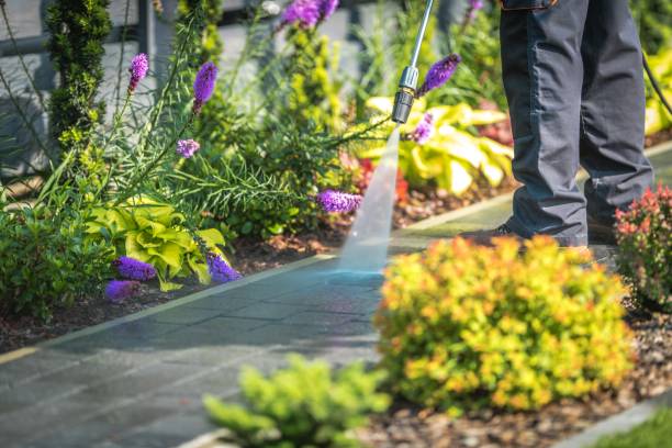 Best Pool Deck Cleaning  in Macon, IL