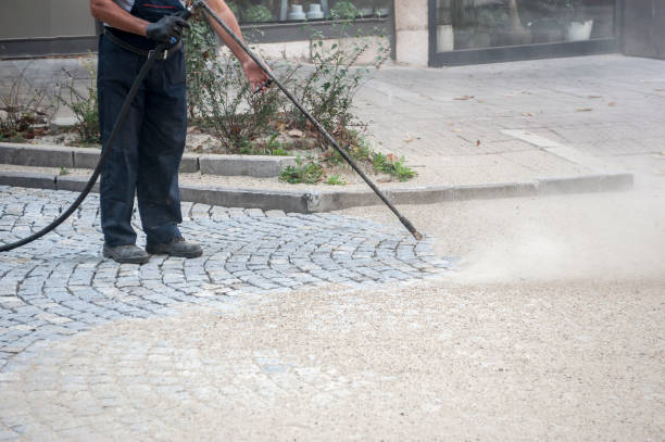 Best Dumpster Area Cleaning  in Macon, IL
